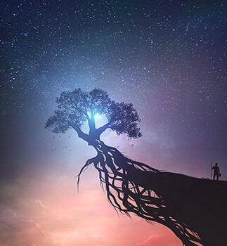 formation-reconnexion-cde